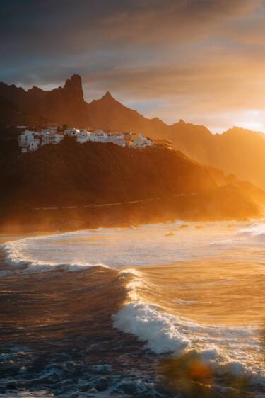 Back up images sorted by Creator