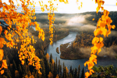 Back up images sorted by Creator