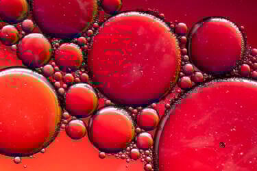 Ross Hoddinott |  Nikon magazine 