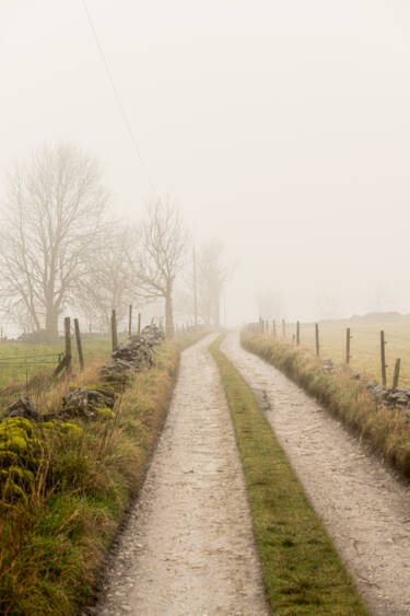 Nikon magazine - 50mm f/1.4 tried and tested 