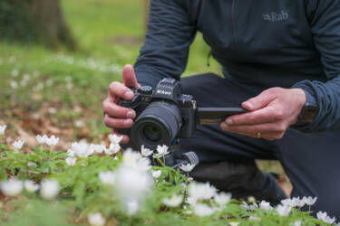Nikon magazine - macro photography with spring flowers