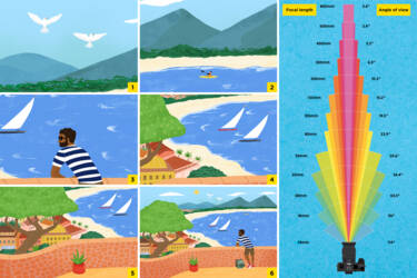 Nikon magazine - cheat sheets focal length